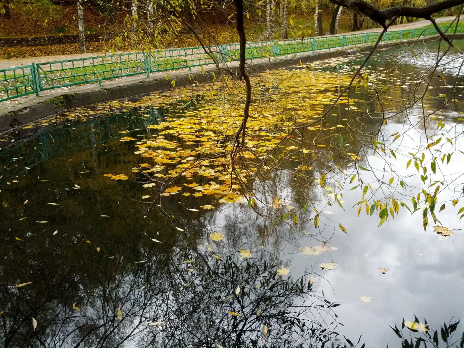 Photo from 6 October 2012