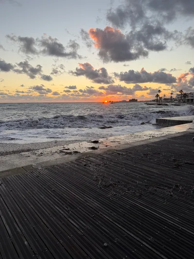 Paphos, Cyprus — 28 January 2026