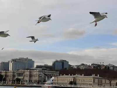 Eminönü, Turkey — 3 January 2020