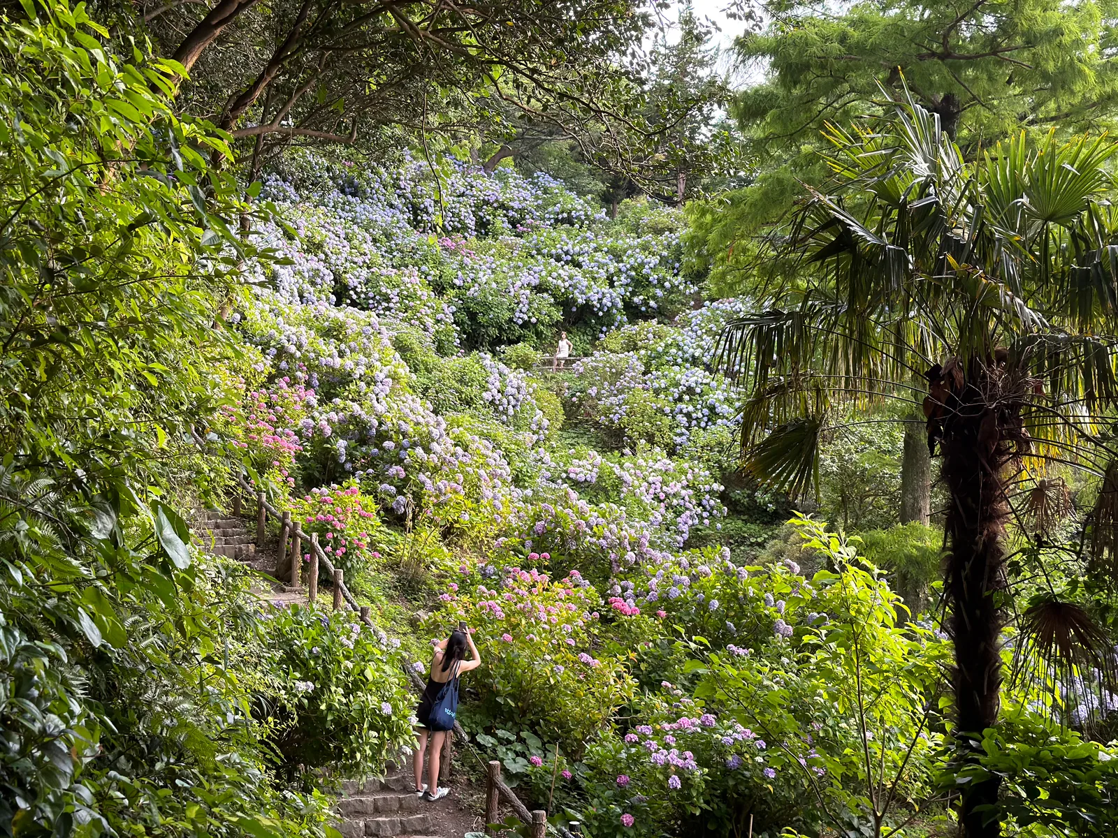 Shimoda, Japan — 19 June 2026