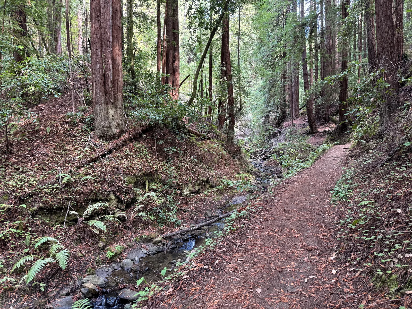 Day Valley, United States — 22 October 2025