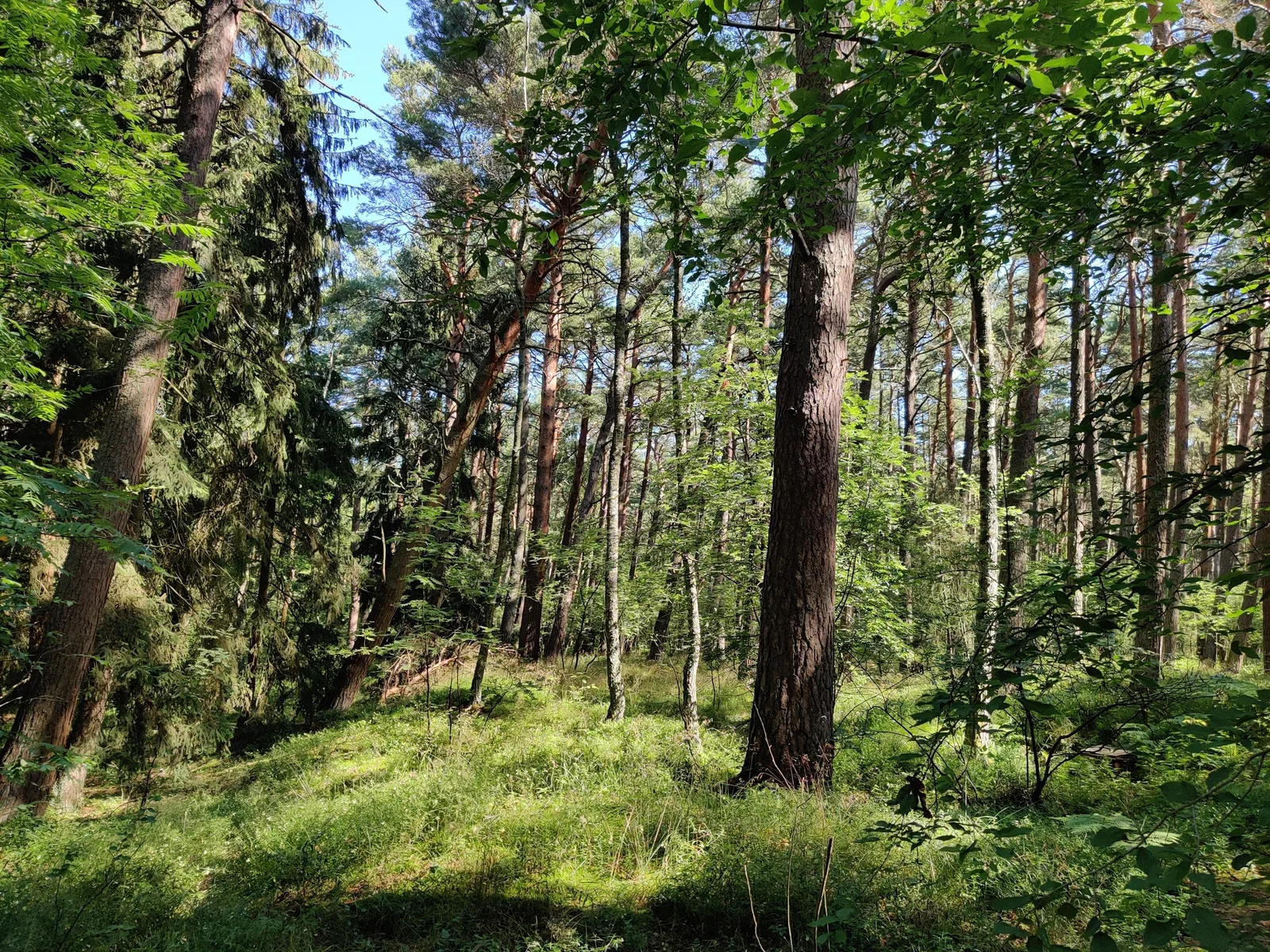 Nida, Lithuania — 18 July 2020