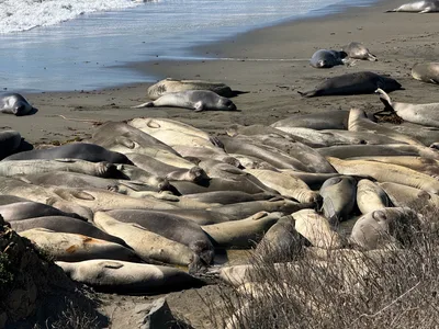 Cambria, United States — 26 October 2025