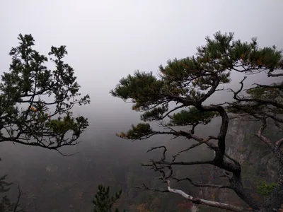 Sokcho, South Korea — 20 October 2016