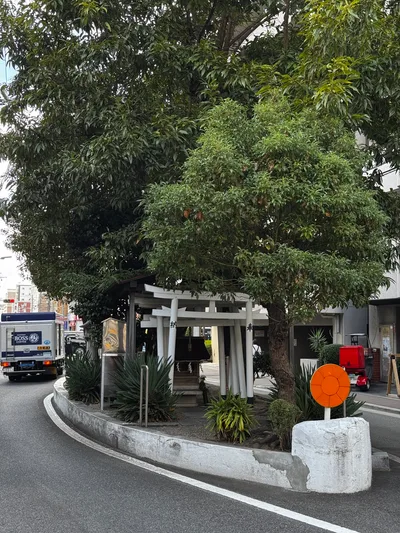 Ajiharacho, Japan — 23 November 2024