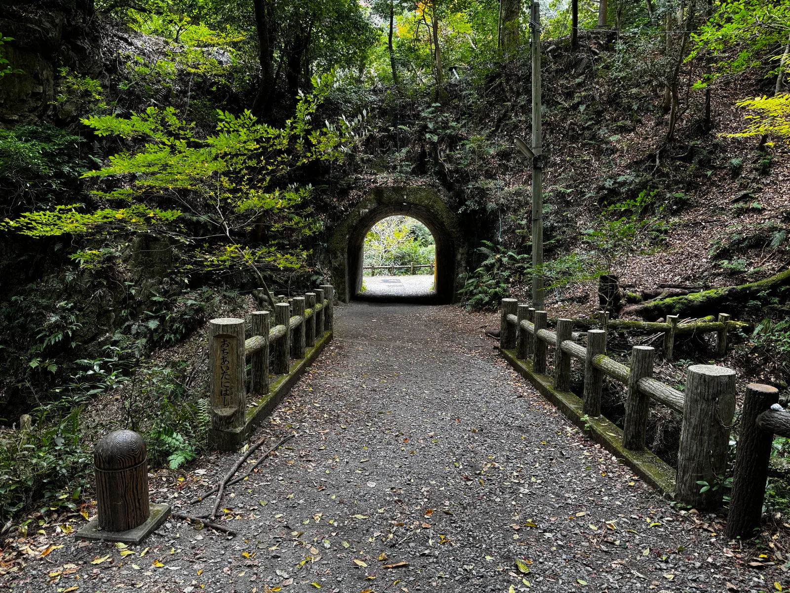 Minoh, Japan — 26 November 2024