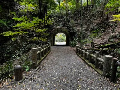 Minoh, Japan — 26 November 2024