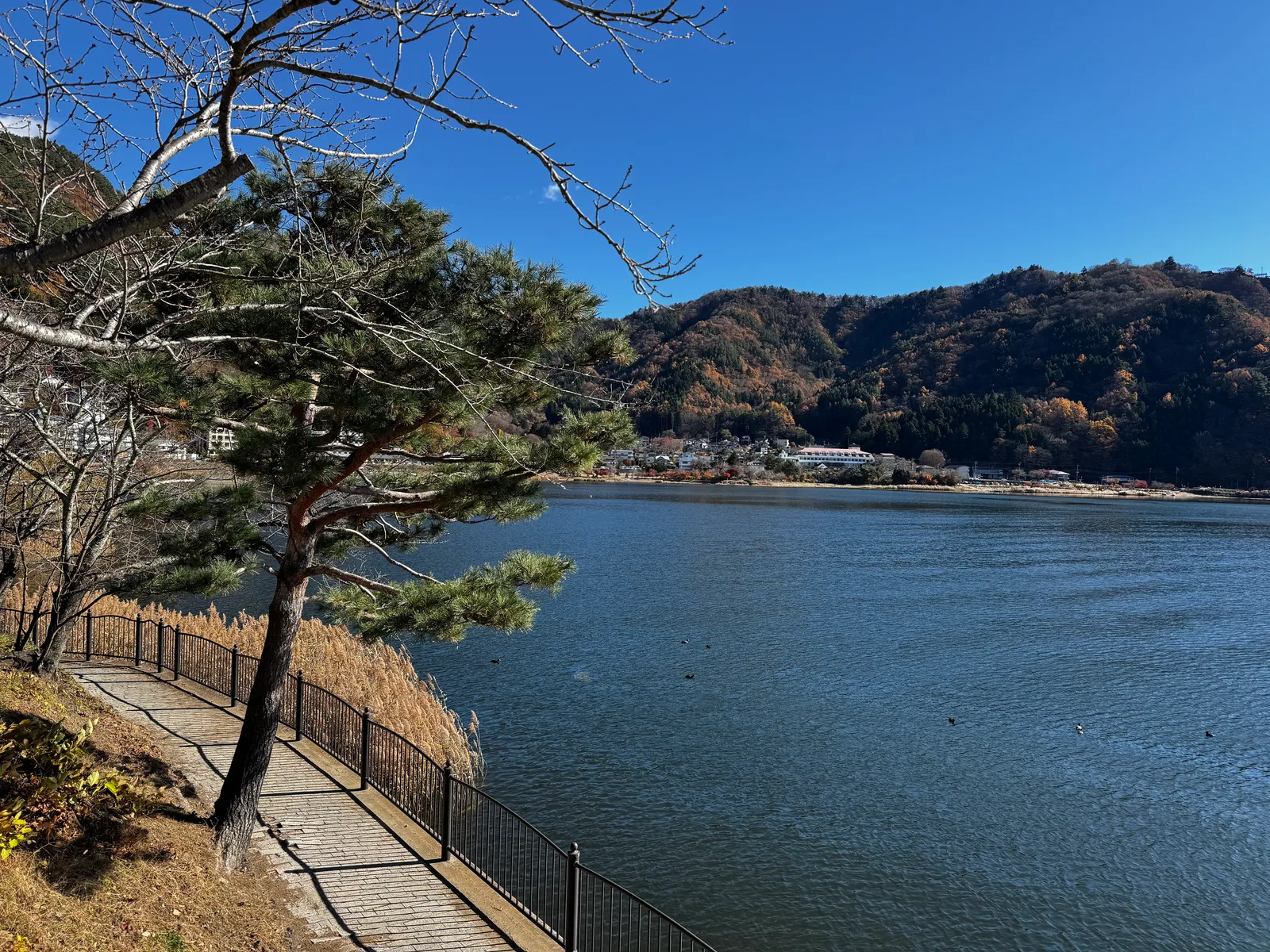 Fuji-yoshida, Japan — 30 November 2024