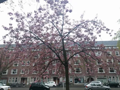 Photo from 25 April 2016