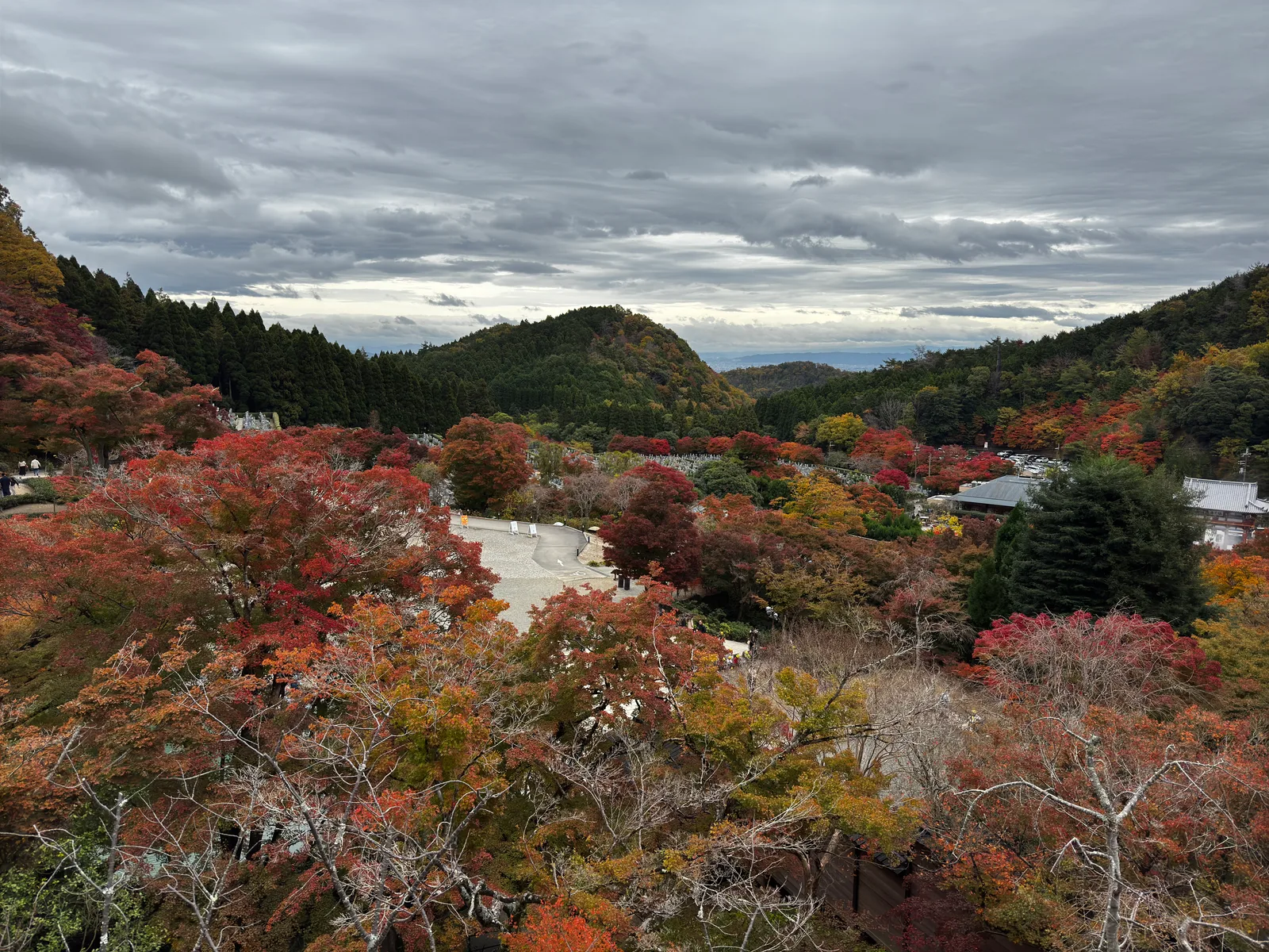 Minoh, Japan — 26 November 2024