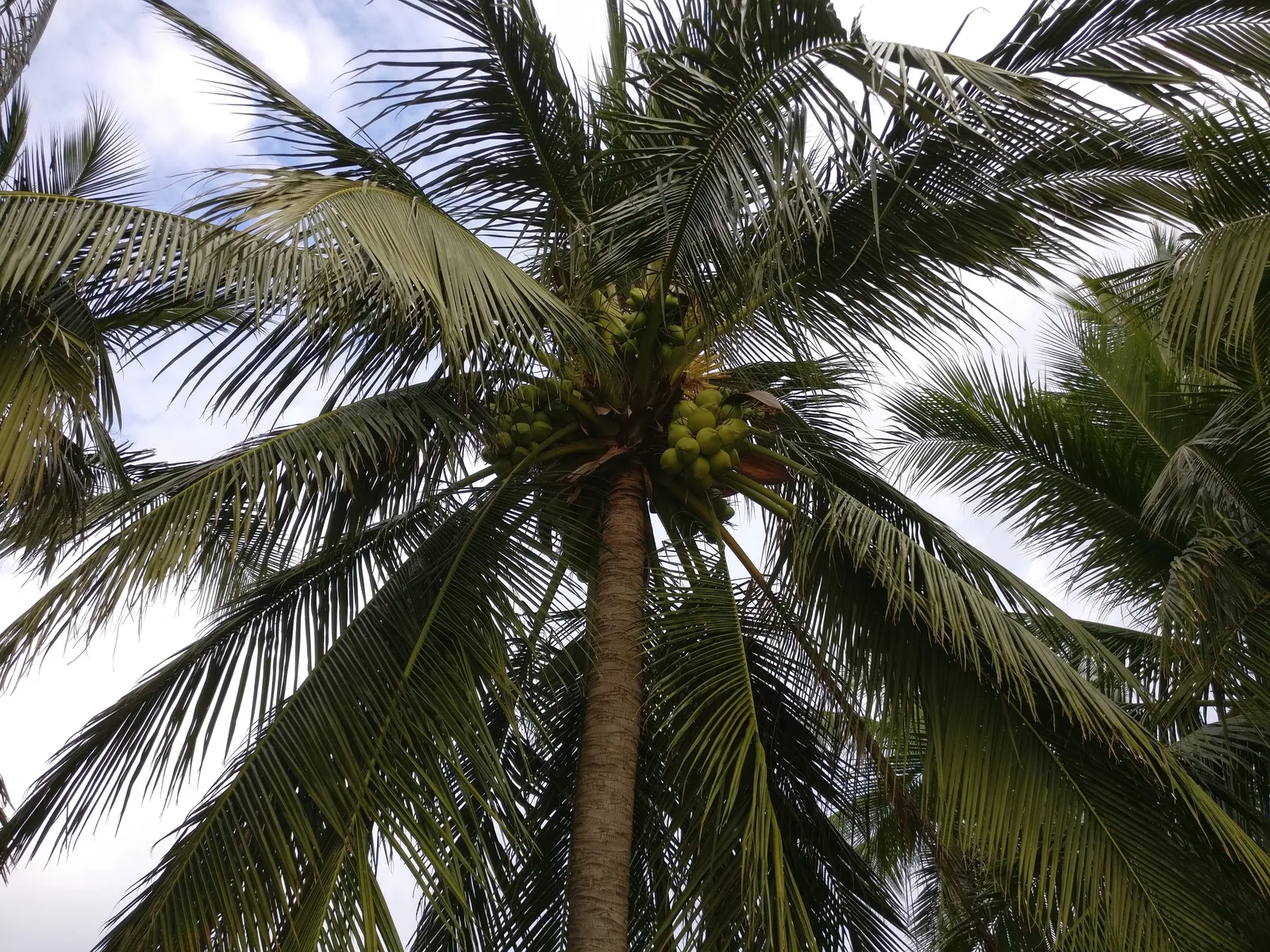 Vũng Tàu, Vietnam — 7 January 2018