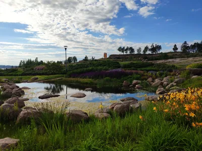 Photo from 16 June 2019