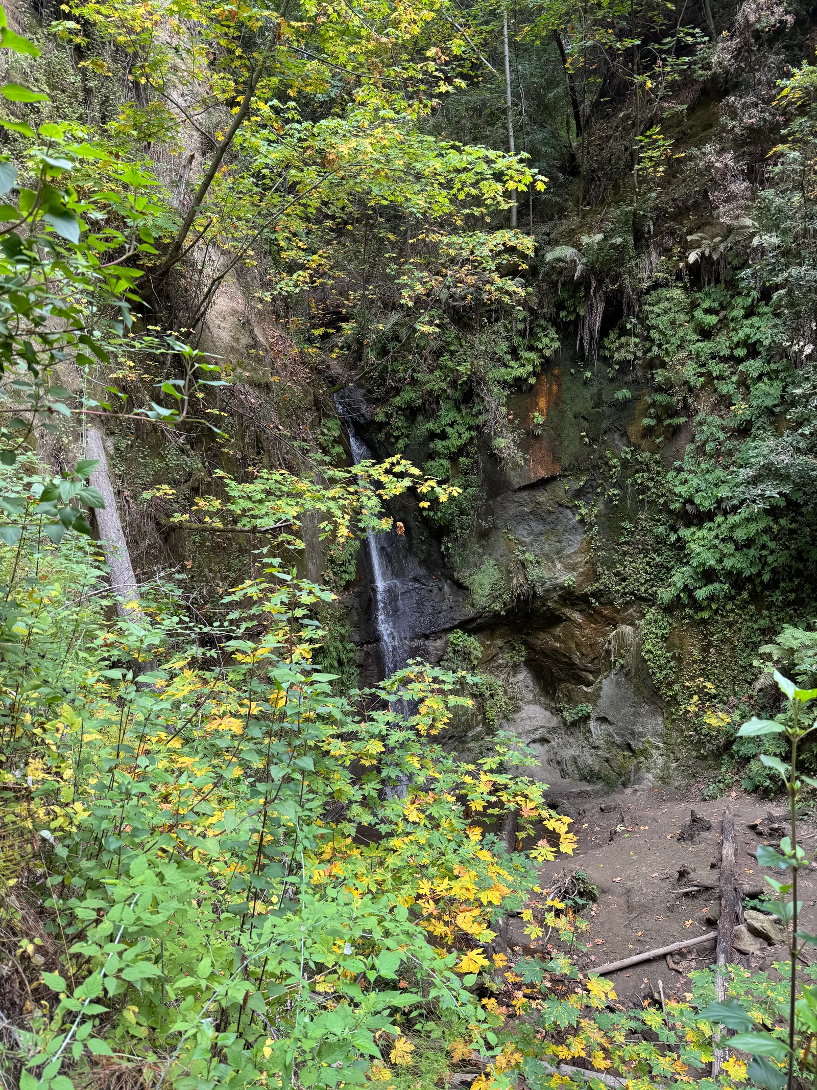 Day Valley, United States — 22 October 2025