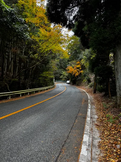 Minoh, Japan — 26 November 2024