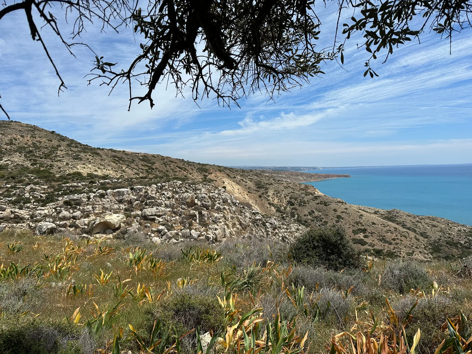 Pissoúri, Cyprus — 16 April 2023