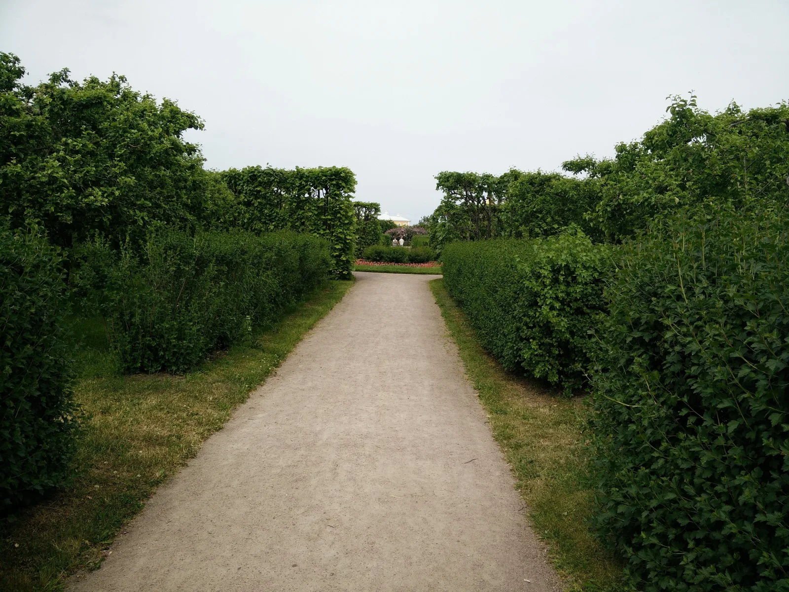 Peterhof, Russia — 14 June 2015