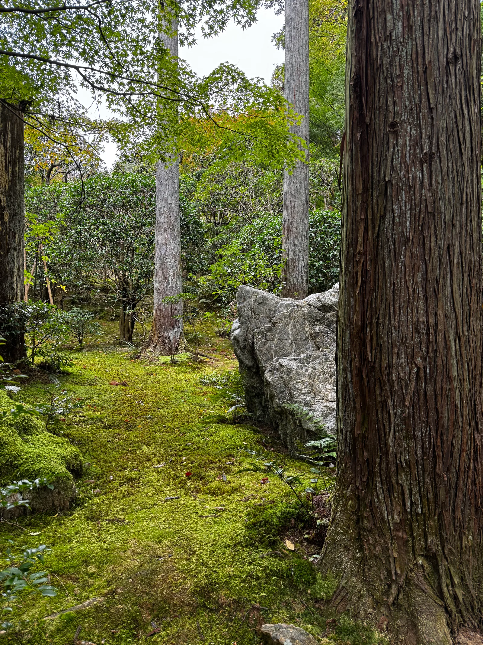 Kyoto, Japan — 24 November 2024