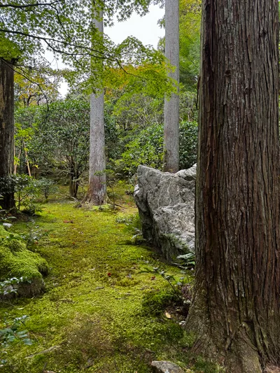 Kyoto, Japan — 24 November 2024