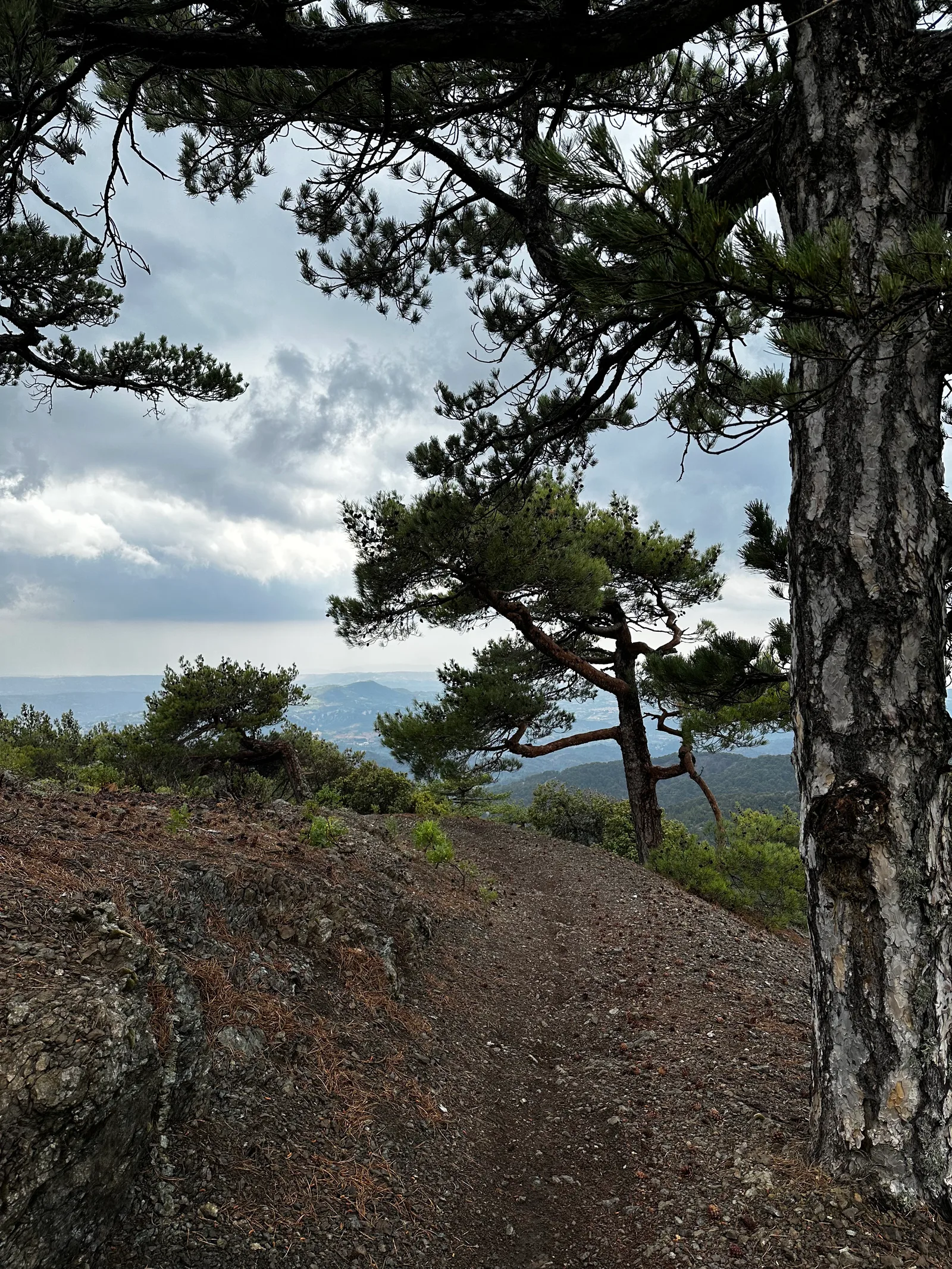 Tróodos, Cyprus — 9 July 2023