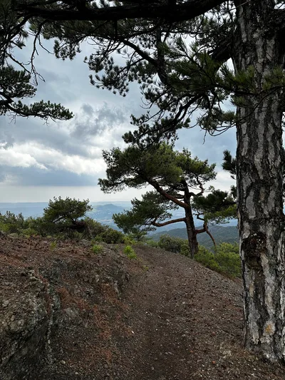 Tróodos, Cyprus — 9 July 2023