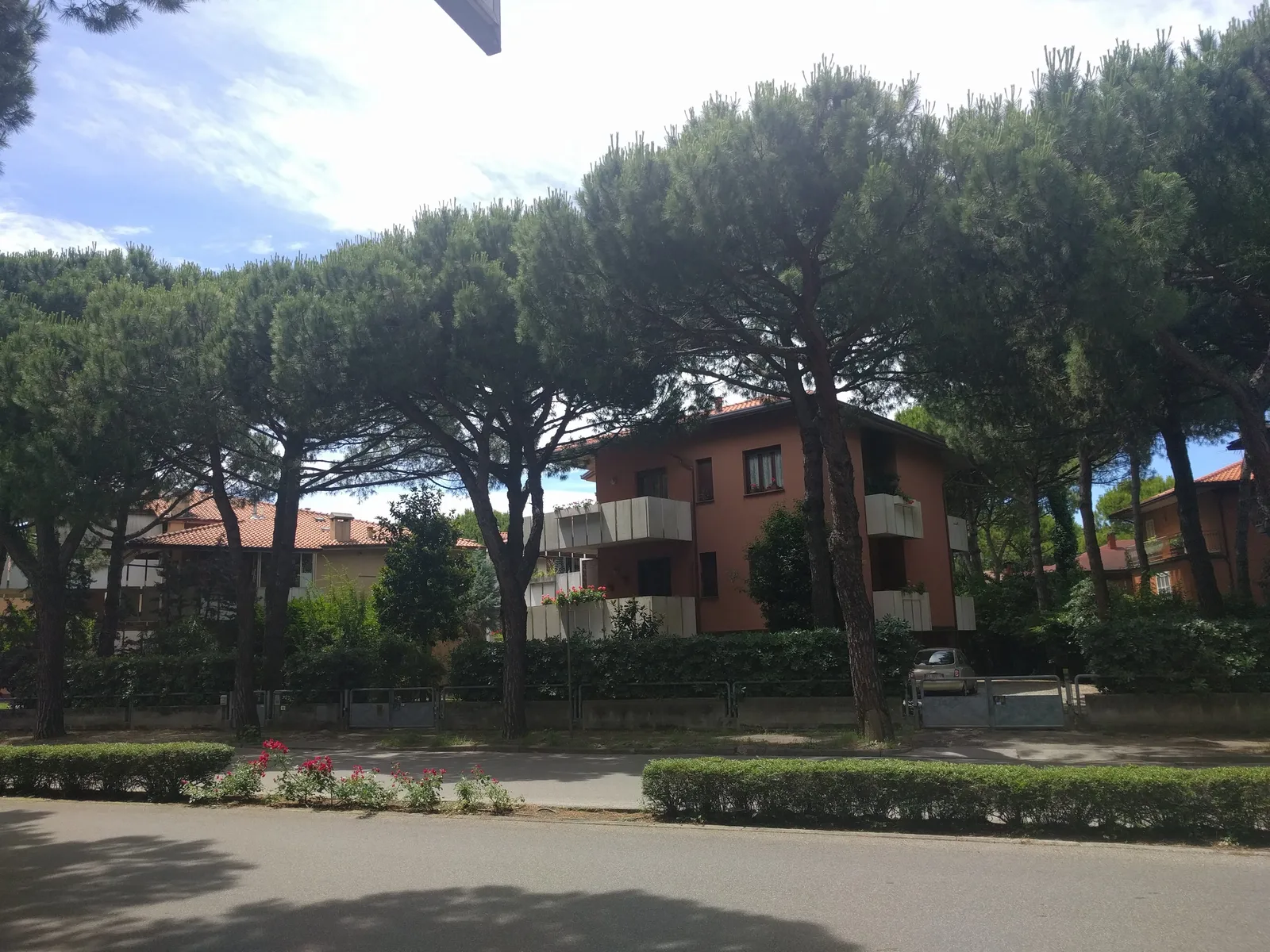 Photo from 17 June 2016