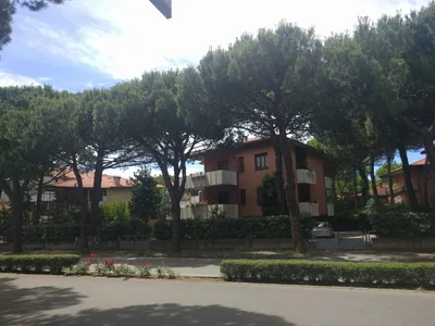 Photo from 17 June 2016