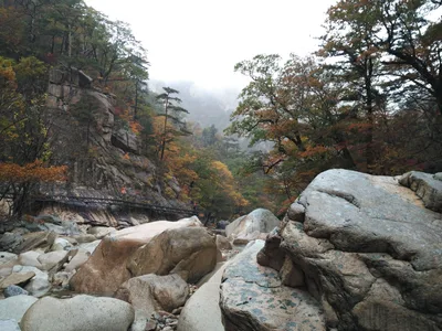 Sokcho, South Korea — 21 October 2016