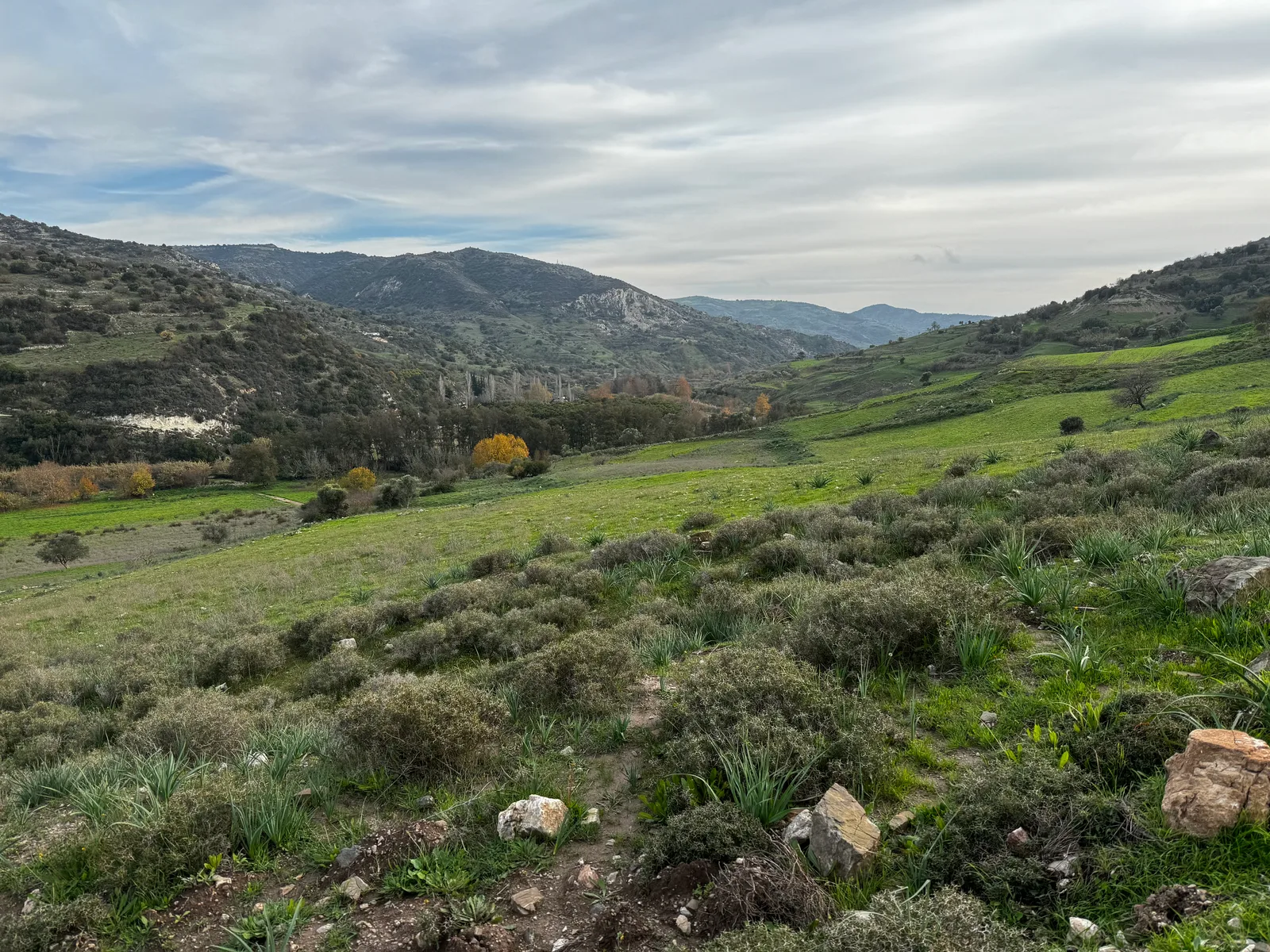 Tsáda, Cyprus — 7 January 2024