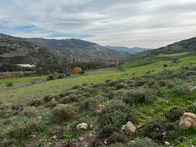 Tsáda, Cyprus — 7 January 2024