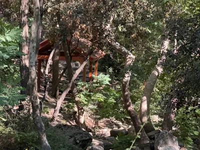 Tróodos, Cyprus — 1 August 2026
