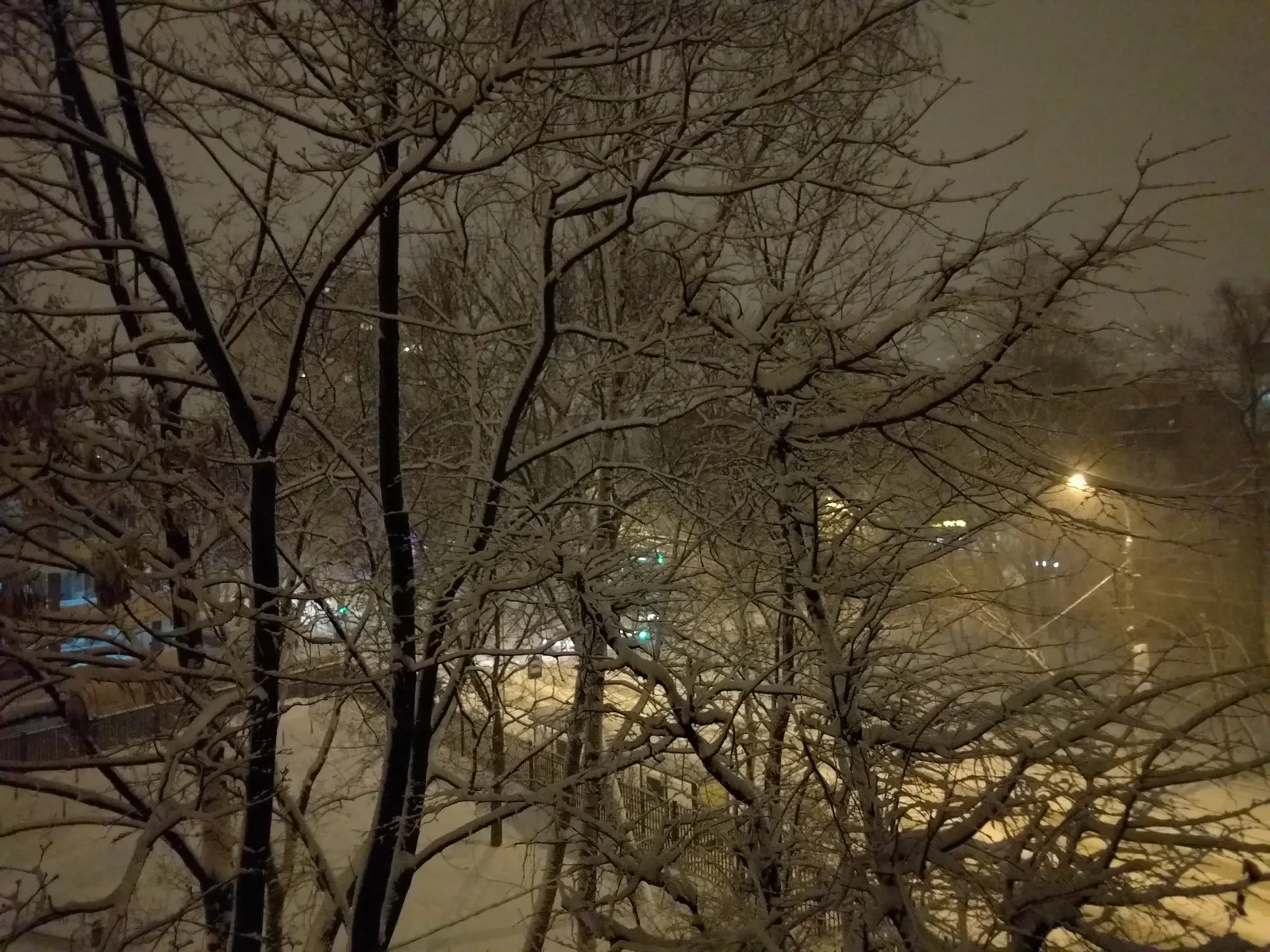Photo from 22 February 2016