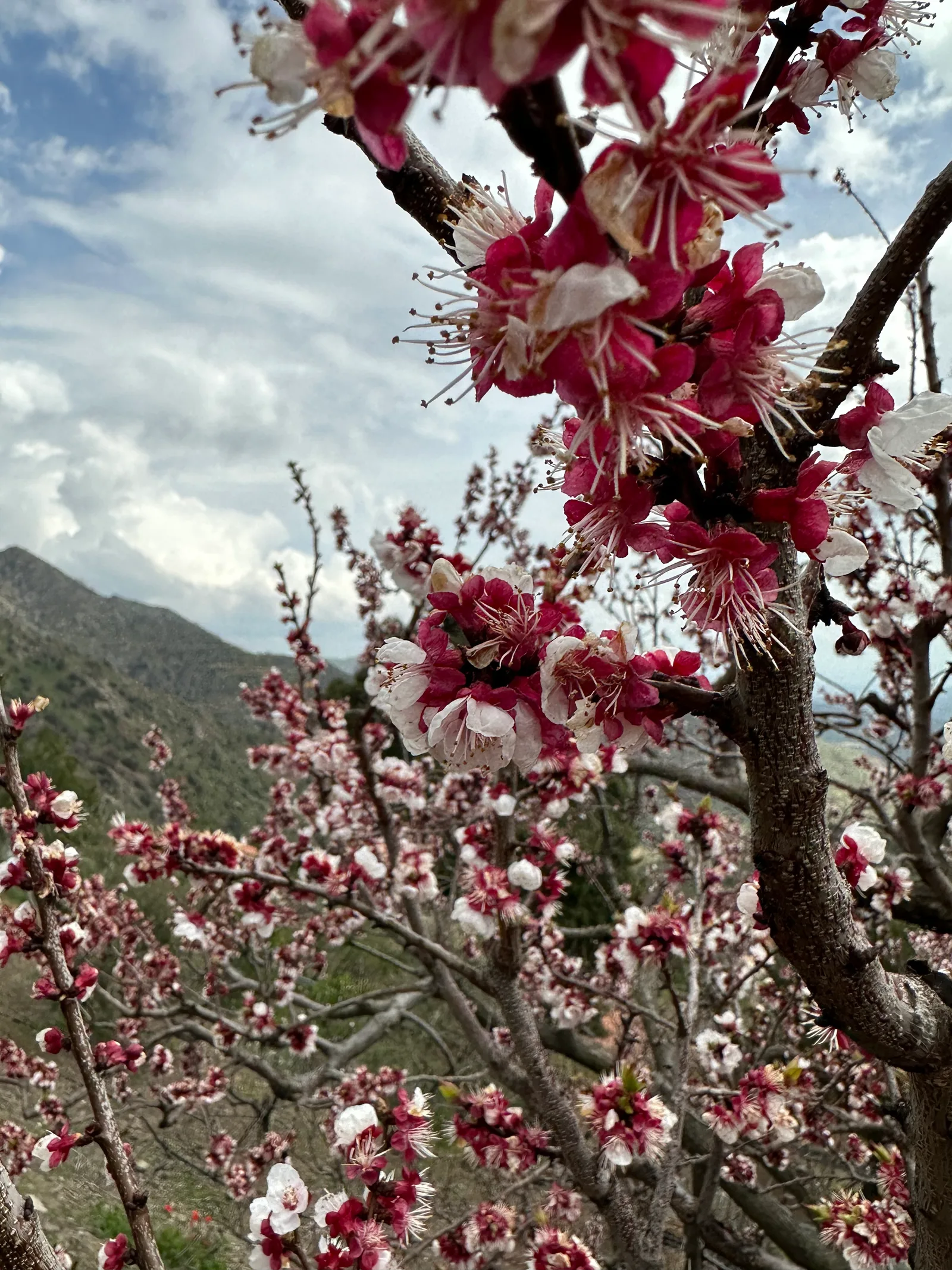 Klírou, Cyprus — 25 March 2023