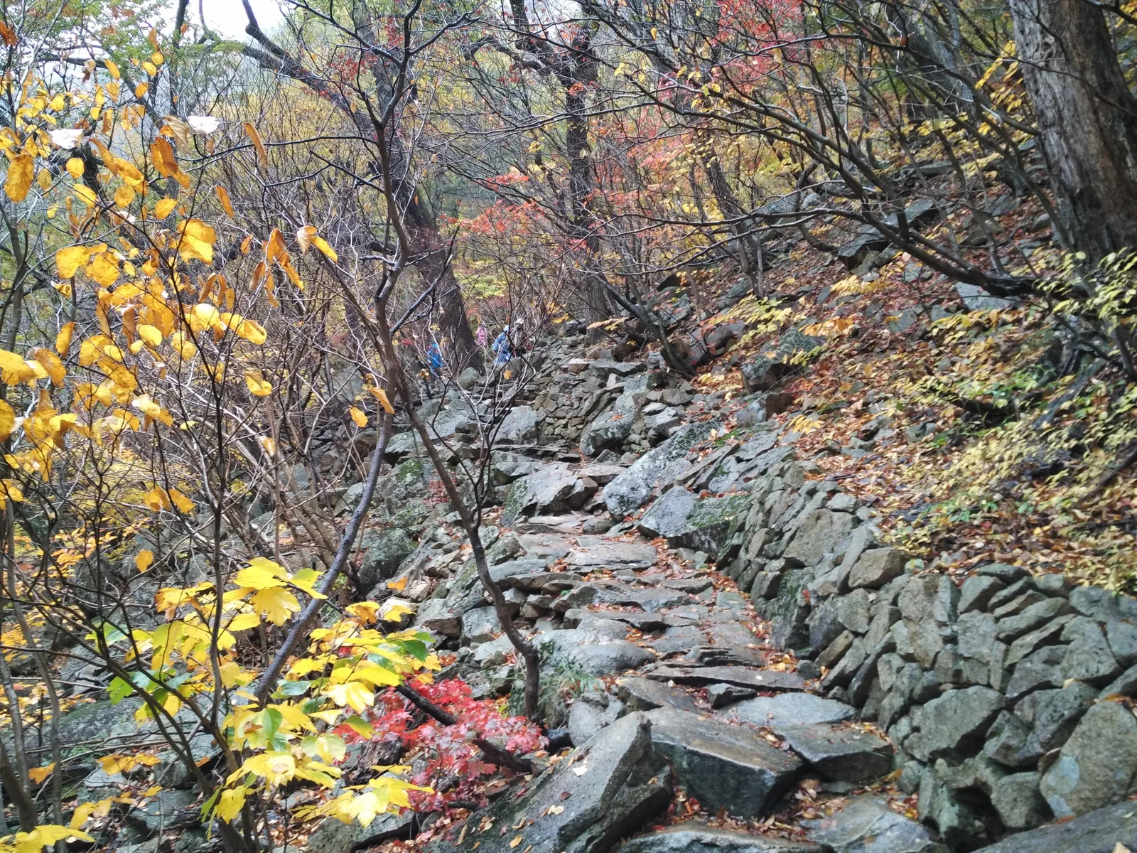 Sokcho, South Korea — 21 October 2016