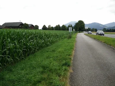 Anif, Austria — 13 July 2015