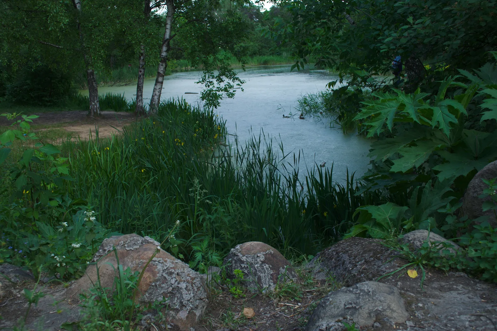 Photo from 4 June 2011