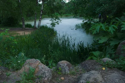 Photo from 4 June 2011