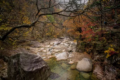 Photo from 21 October 2016