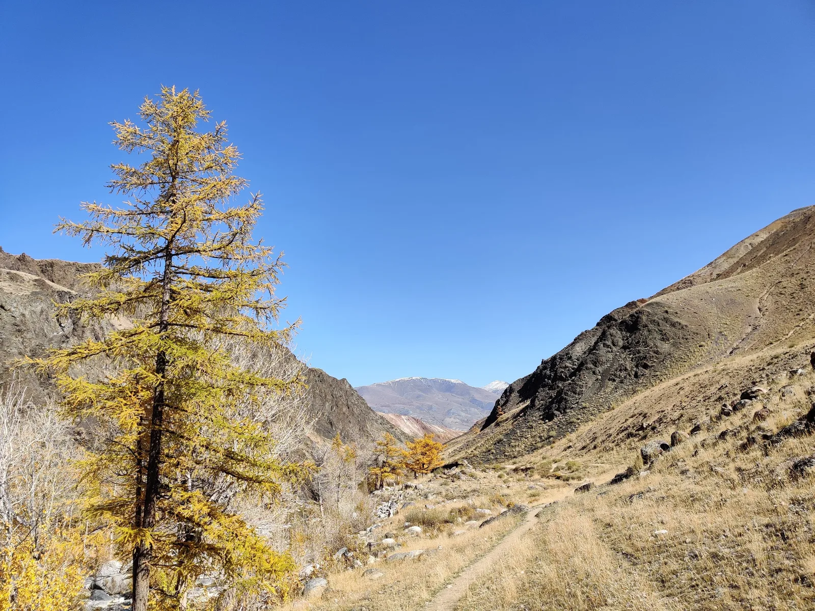Kosh-Agach, Russia — 20 September 2020