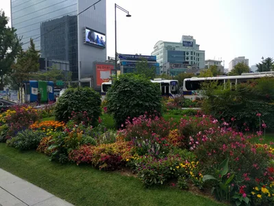 Seoul, South Korea — 17 October 2016