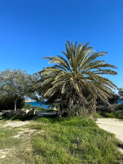 Pissoúri, Cyprus — 19 February 2023
