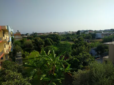 Photo from 11 August 2017