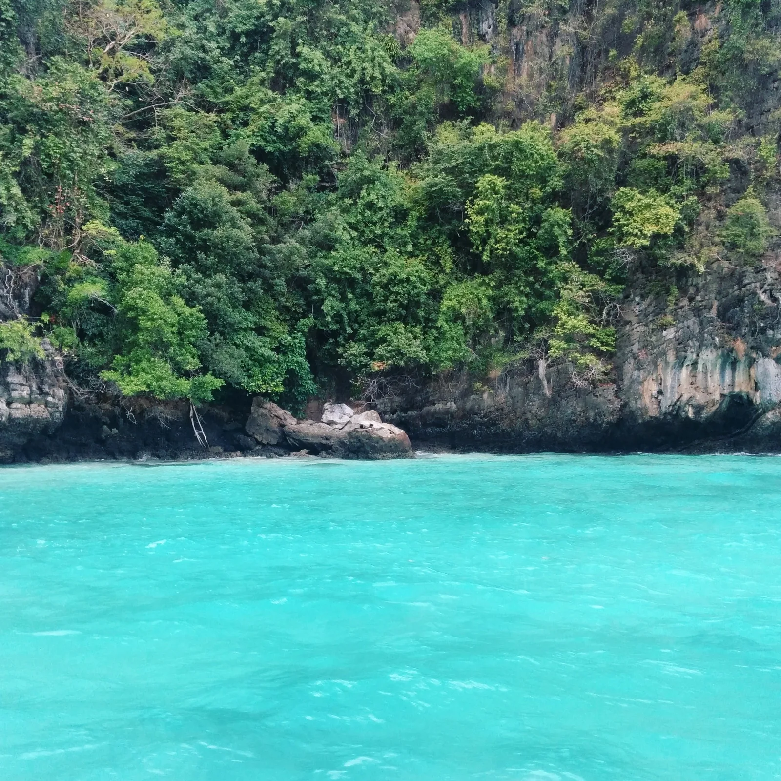 Photo from 7 February 2016