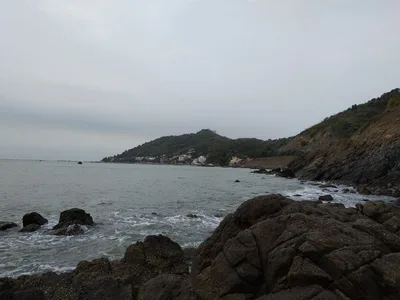 Photo from 28 January 2018