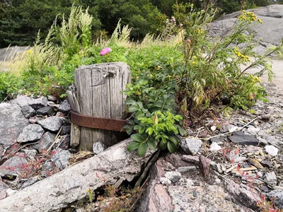 Photo from 3 August 2019