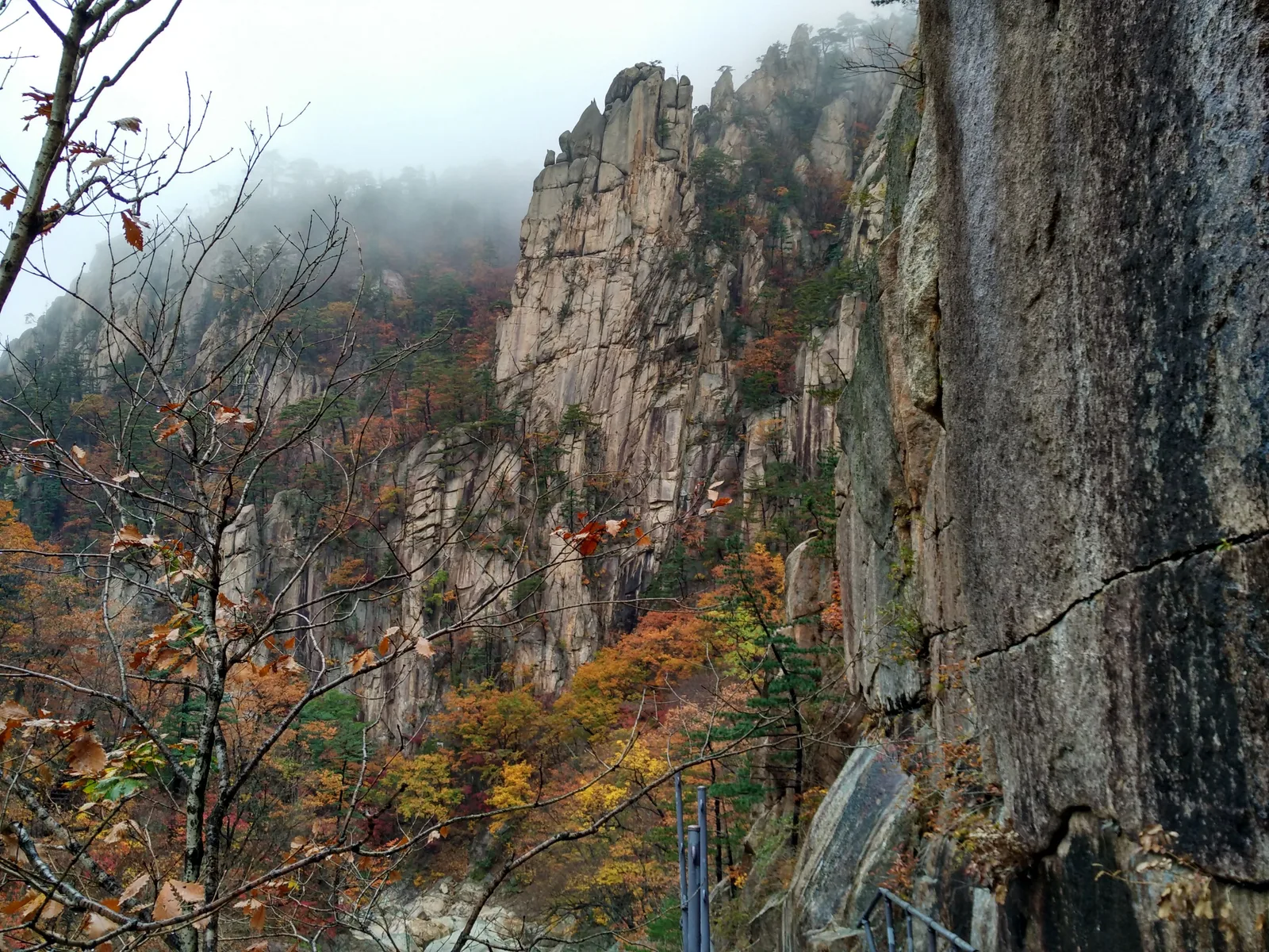 Photo from 21 October 2016