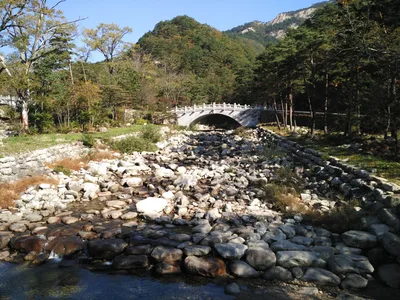 Sokcho, South Korea — 19 October 2016