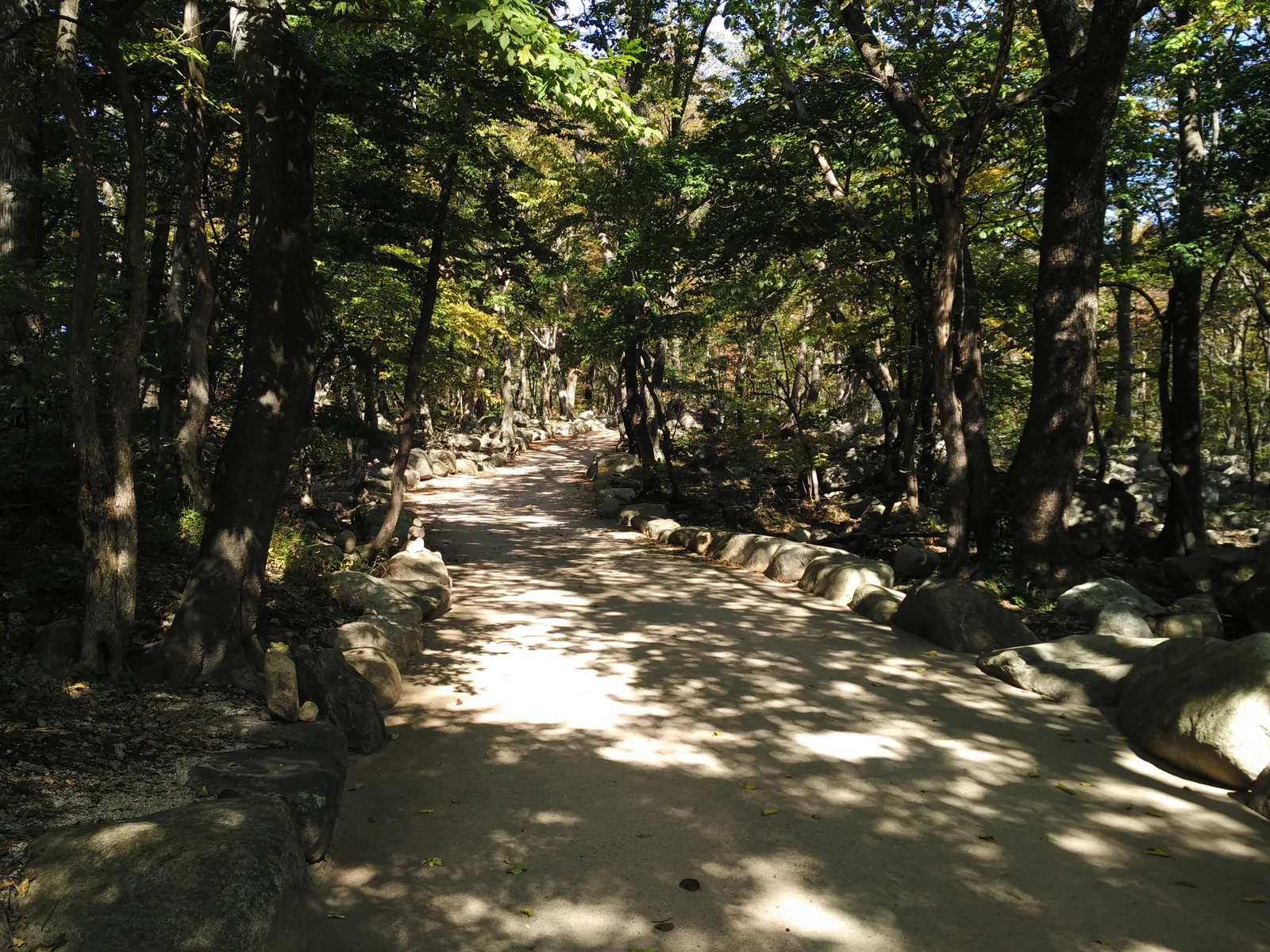 Sokcho, South Korea — 19 October 2016