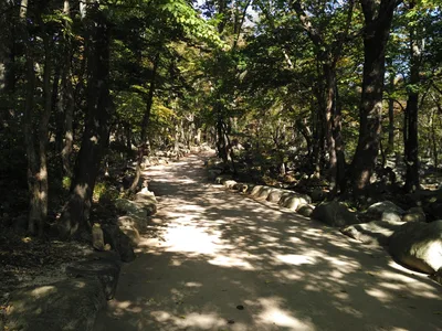 Sokcho, South Korea — 19 October 2016