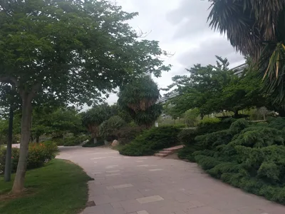 Photo from 29 April 2017