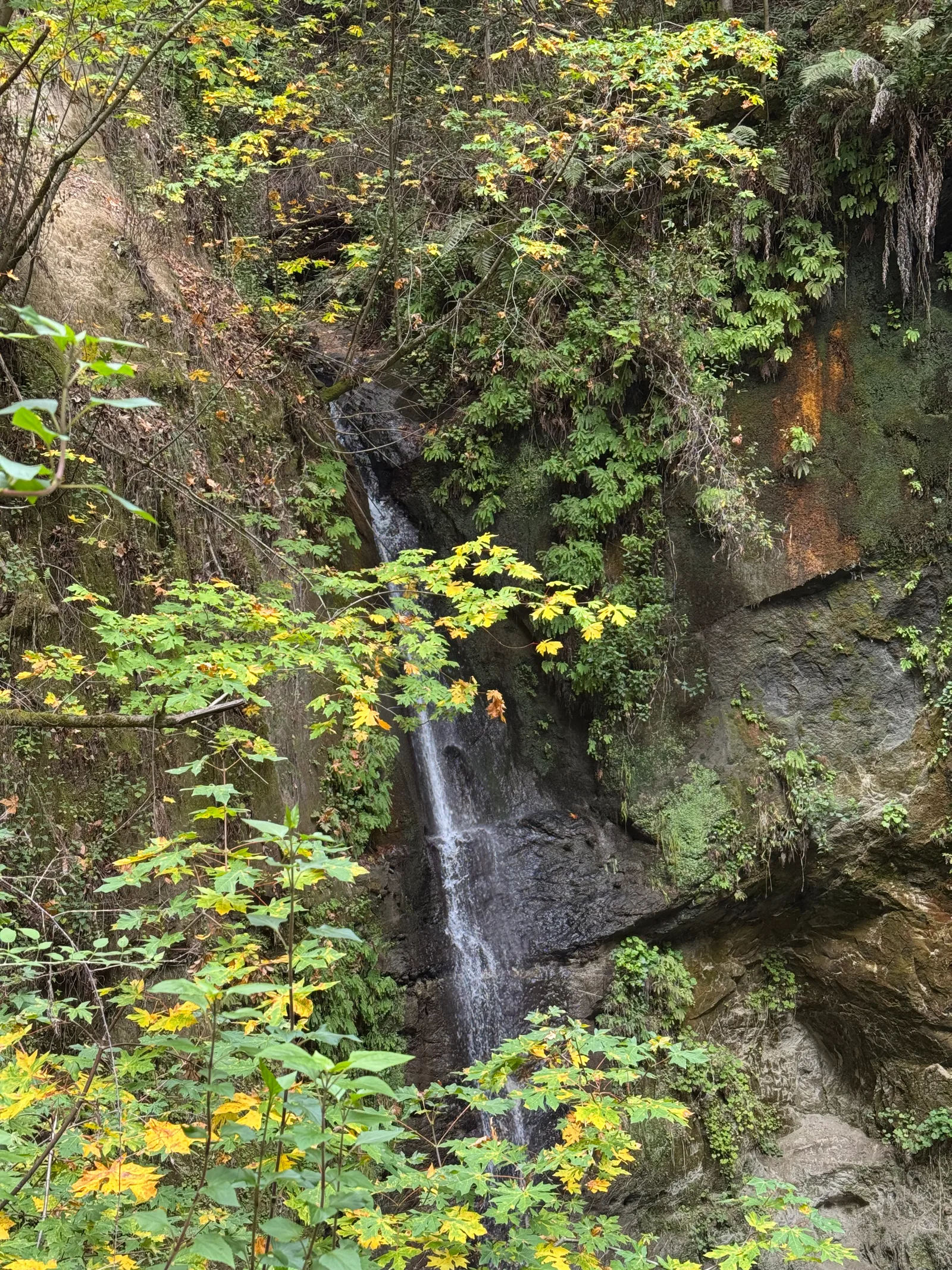 Day Valley, United States — 22 October 2025